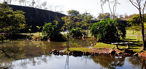 Ribeirão Preto